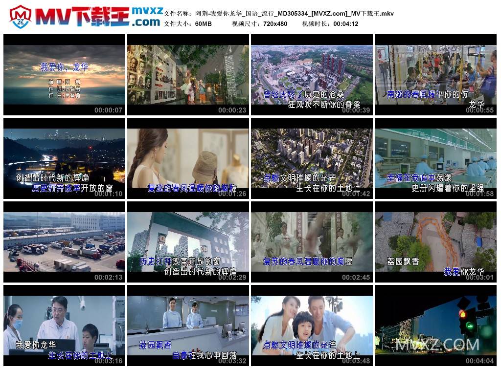 阿荆-我爱你龙华_国语_流行_MD305334